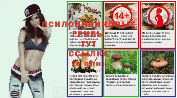соль ск Белокуриха