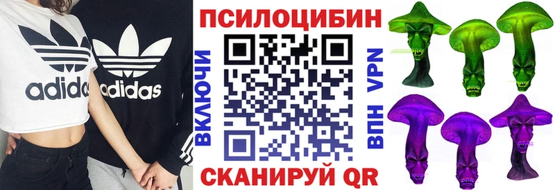 Галлюциногенные грибы Cubensis как найти наркотики Сковородино